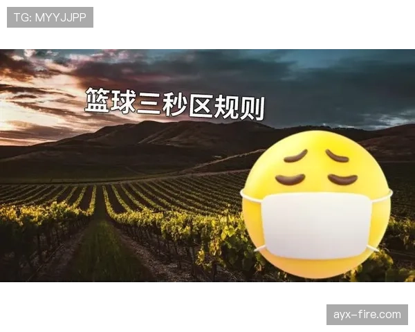 详解篮球三秒区规则的界定标准与违例处罚机制 详解篮球三秒区规则的界定标准与违例处罚机制